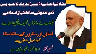 عضلاتی اعصابی (2نمبر) تحریک کا جسم میں کس عضو کے ساتھ کیا واسطہ ہے | حکیم رانا محمد سرور صاحب