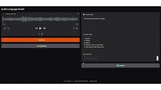 Audio language Model | Real-Time Transcripts & Insights