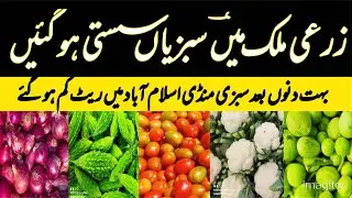 Vegetables Become Cheap | 25 October 2025 | Sabzi Mandi Islamabad | Punjab Fresh Vegetables Updates
