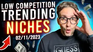 $100/Day LOW COMPETITION Trending Merch By Amazon Etsy Redbubble Print On Demand Niches