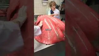 Rare Photos You've Never Seen Before [Part 379]