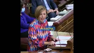 🔴 BANDAS ORGANIZADAS en ESPA&Ntilde;A ( PP vs PSOE)