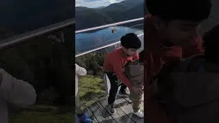 View from the top&bull;Malahat Skywalk&bull;Victoria&bull;British Columbia&bull;05Jan2026 #canada