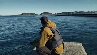 沖堤防の密集しているエリアで青物フィーバーしてるみたいなのでカゴ釣りに行って来た