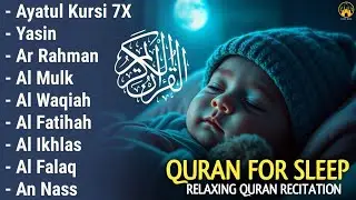 Quran recitation in a peaceful voice I ayat al kursi, yasin, alkahfi, alwaqiah, arrahman, Alaa Aqel