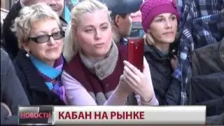 Кабан на рынке