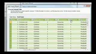 Microsoft PowerPivot: Import Data from a SQL Server Database
