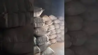 saw dust available +88 01710-875380 স মিলের ভূসি #wood #industrial#industry #briquttefireboiler