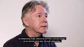 What does Relationship Audits do?