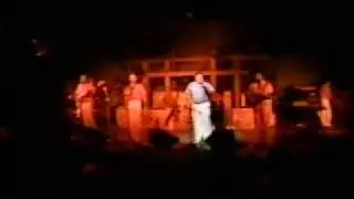 Steve Jarrell and the Sons of the Beach - Never My Love