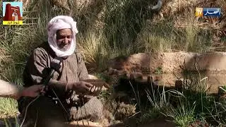 fouggara ادرار الفقارة نظام قديم لتزوزيع الماء لسقي الاراضي الفلاحية