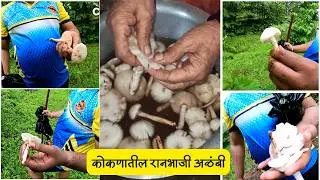 Marathi Village Vlog | Kokan Vlog | कोकणातील रानभाजी अळंबी | Mushroom | Alambi | Kokanatil Ranbhaji