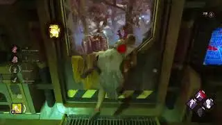 DBD carry