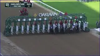 Horse of the Year Thorpedo Anna wins the Apple Blossom (G1)