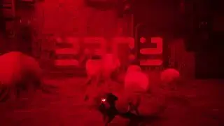 Stray | Vine Boom Death Sound