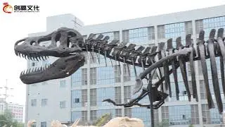 Simulation museum dinosaur skeleton model