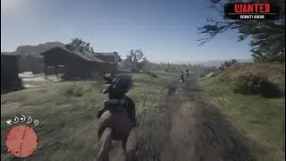 Red Dead Redemption 2: Executie