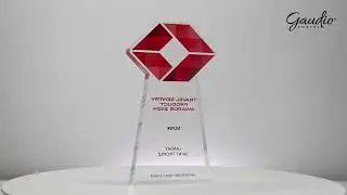Travel Sentry Awards - custom acrylic trophy #trophies #awards
