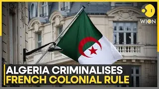 Algeria Declares French Colonization a Crime, Parliament Criminalizes It | WION