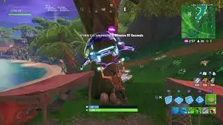 Fortnite_20190730001207