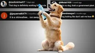 The DOG is a SPY - Chat Music