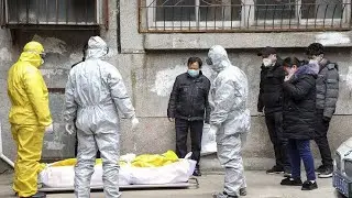 From Wuhan's Viral Pneumonia to a Global Pandemic: The WHO's First Warning of COVID-19.