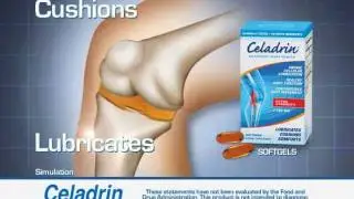 Celadrin vs Celadrin Cream