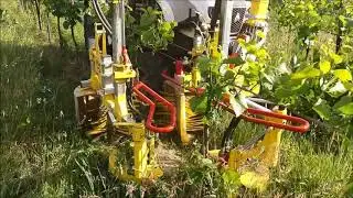 KMS Rinklin RinClean - Unterstockpflege Weinbau