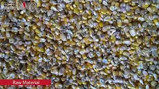 How to remove the aflatoxin from the corn? AMD offer you the best sorting solution