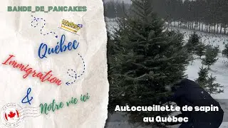 VLOG Québec : Cueillette de sapin et déco de Noël 