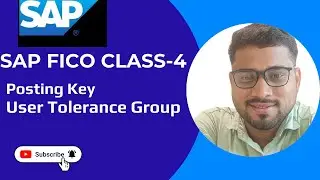 SAP FICO Class 4: Posting Keys & User Tolerance Groups Explained