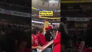 Benny the Bull and his popcorn #viral #shortvideo #share #shorts #shortsvideo #fun #nba  #funny