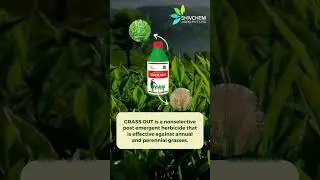 Grass out Herbicide #pesticides #farming #weedcontrol #kharpatwar #kheti #farming #khetibadi #top