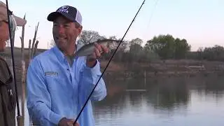 Golden Opportunity (largemouth and walleye fishing); Fishful Thinker TV