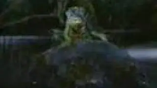 Budweiser Frogs & Lizards Frogs Revenge