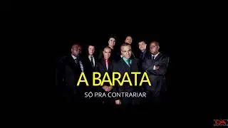 S&Oacute; PRA CONTRARIAR  - A BARATA  - KARAOKE