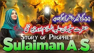 3 Miracles of Faith: The Stories of Suleman (AS), Yunus (AS), and Ibrahim (AS) ✨ #anbiya  #waqia