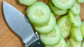 Rajah 3 vs 🥒 #coldsteelknives