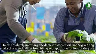 New rules of Domestic Workers and related Professions in Saudi Arabia | #SaudiExpatriates #SaudiNews