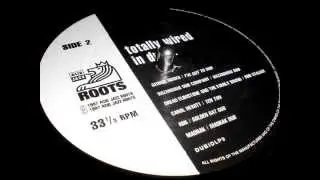 Hazardous Dub Company // Hazardous dub