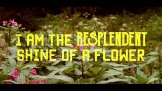 josh portf 3 - typography and voiceover edit