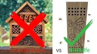 Insektenhotels - das wahre Grauen! Ich zeige euch wie es richtig geht!