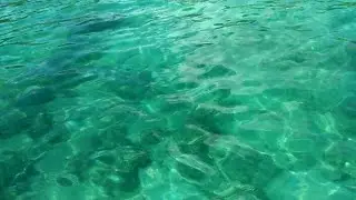 CLEAREST WATER IN THE WORLD | PHILIPPINES