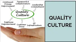 Quality Culture in an organisation.#pharma #quality #qualitycircle