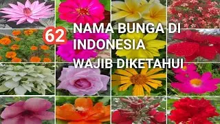 62 Jenis bunga A - Z yang wajib diketahui dan sering dijumpai lengkap dengan nama ilmiahnya
