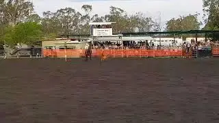 2017 Condamine Bell Run off   TKO & John Mulcahy