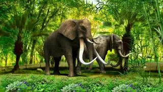 Nice animated elephants in forest use vfx.hd high quality| creat by rakesh shakya|