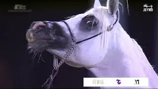 BATTAR II