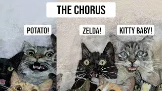 3 more cats added! Potato, Curious Zelda and Kitty Baby - THE CHORUS