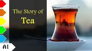 История чая  Istoriya chaya